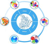 GEL TOY NATION 150,000 Eco-Friendly Gel Balls – Compatible with All Gel Blasters